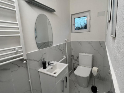 Case de vanzare Sura Mare imagine mica 8