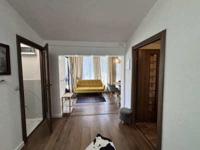 Case de vanzare Sura Mare imagine mica 28