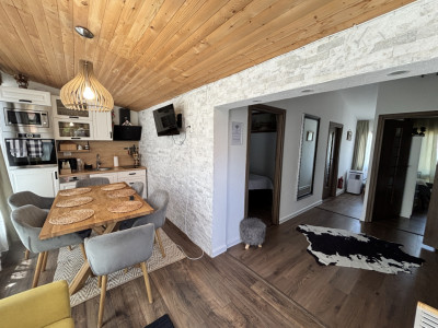 Case de vanzare Sura Mare imagine mica 30