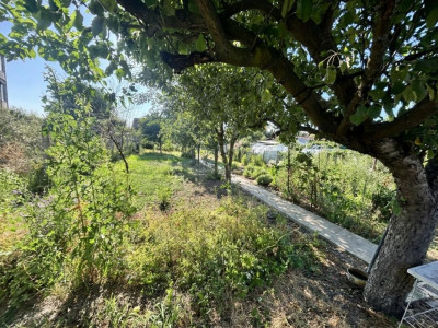 Case de vanzare Sibiu Turnisor imagine mica 14