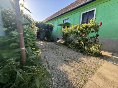 Case de vanzare Sibiu Turnisor imagine mica 15