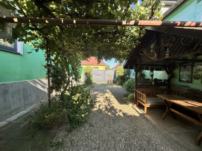 Case de vanzare Sibiu Turnisor imagine mica 2