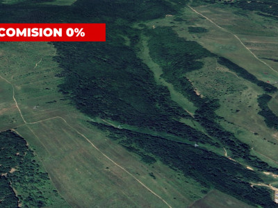 FARA COMISION - Padure de vanzare 12700mp situata in judetul Sibiu