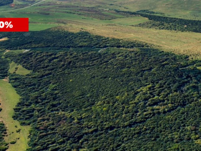 COMISION 0% - Padure de 12.7 hectare de vanzare in judetul Sibiu