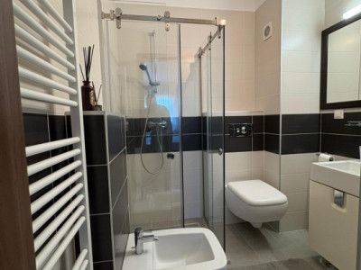 Apartamente de inchiriat Cluj-Napoca Buna-Ziua imagine mica 9