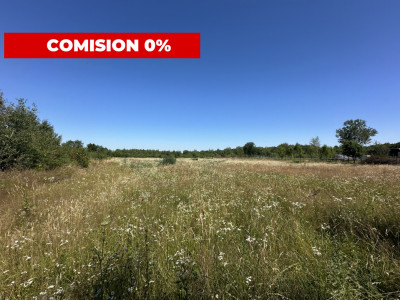 Comision 0% Teren intravilan cu utilitati 2200 mp pe Valea Sebesului