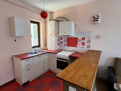 Apartamente de inchiriat Sibiu Tilisca imagine mica 3