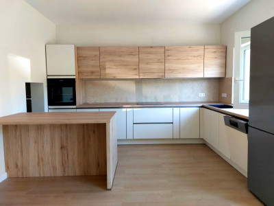 Casa individuala de inchiriat D+P+1E 3 dormitoare curte libera 300 mp