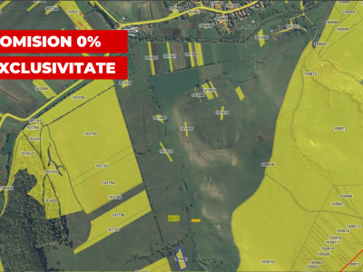 Teren extravilan 2900 mp pretabil pentru investitie zona Lovnic