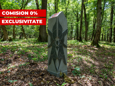 Teren extravilan 5490 mp langa padure limita Via Transilvanica