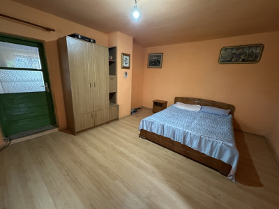 Case de vanzare Halmeag imagine mica 7