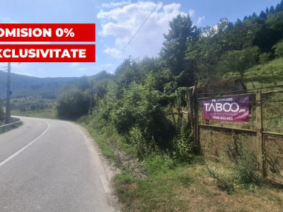 Teren 2500 mp Curmatura Rasinari 40 m deschidere la drum asfaltat