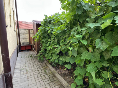 Case de vanzare Sibiu Calea Poplacii imagine mica 9