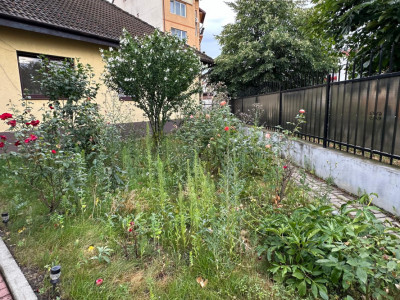 Casa individuala curte libera 300mp 8 camere zona Calea Poplacii Sibiu
