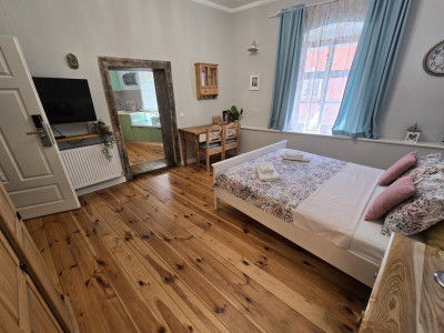 Apartamente de vanzare Sibiu Orasul de Jos imagine mica 6