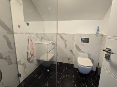 Case de vanzare Cluj-Napoca Dambul-Rotund imagine mica 9