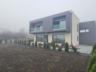 Case de vanzare Sibiu Selimbar imagine mica 6