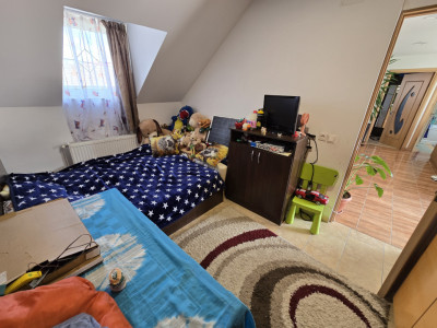 Case de vanzare Sibiu Trei Stejari imagine mica 19