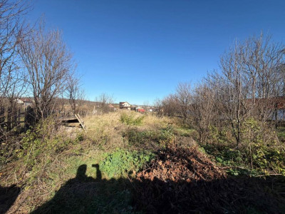 Case de vanzare Cristian imagine mica 6