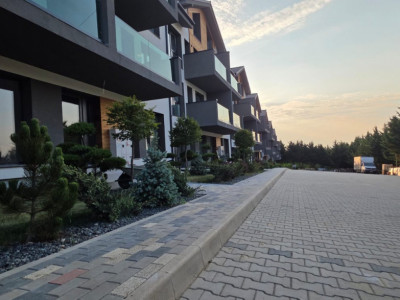 Apartamente de vanzare - Munti padure si tihna