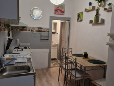 Apartamente de vanzare Cluj-Napoca Centru imagine mica 4