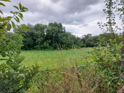 Terenuri de vanzare Cisnadie imagine mica 6