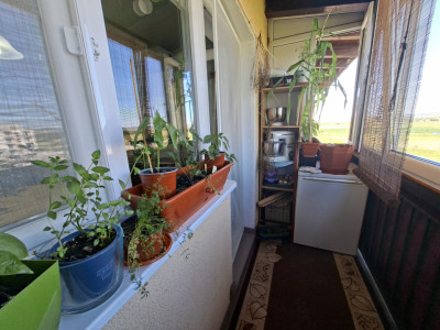 Apartamente de vanzare Sibiu Calea Surii Mici imagine mica 15