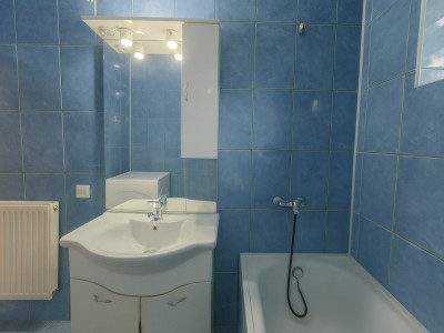 Case de vanzare Sibiu Turnisor imagine mica 11