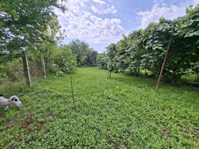 Case de vanzare Sibiu Turnisor imagine mica 13