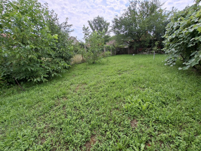 Case de vanzare Sibiu Turnisor imagine mica 16