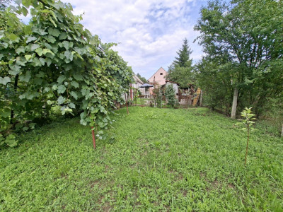 Case de vanzare Sibiu Turnisor imagine mica 17