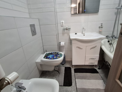 Apartamente de inchiriat Sibiu Lazaret imagine mica 7