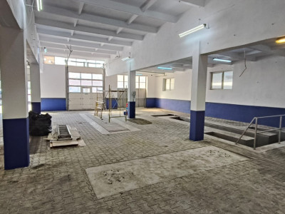 Spatii industriale de inchiriat Sebes imagine mica 5