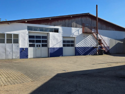 Spatii industriale de inchiriat Sebes imagine mica 2