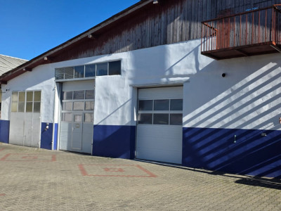 Spatii industriale de inchiriat Sebes imagine mica 8