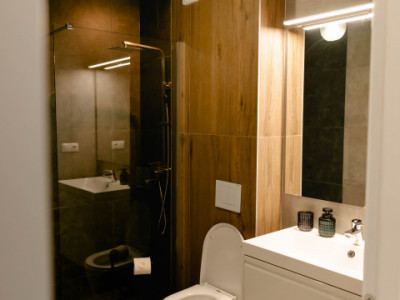 Apartamente de inchiriat Sibiu Doamna Stanca imagine mica 8