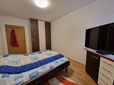 Case de inchiriat Sibiu Terezian imagine mica 7