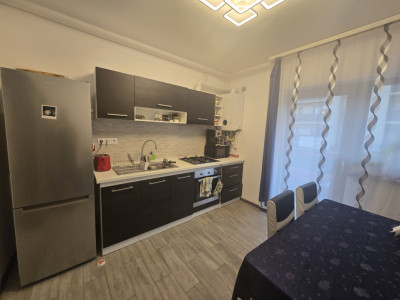 Apartamente de inchiriat Sibiu Doamna Stanca imagine mica 11