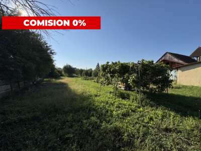 Teren intravilan 2816 mp - Oportunitate de investitie Turnisor Sibiu