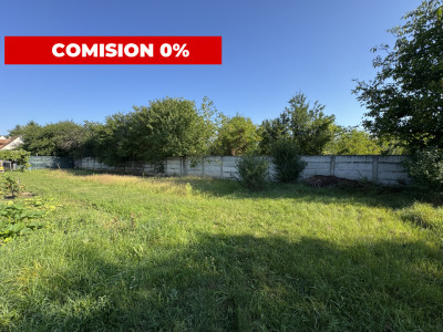 Teren intravilan 4783 mp - Oportunitate de investitie Turnisor Sibiu