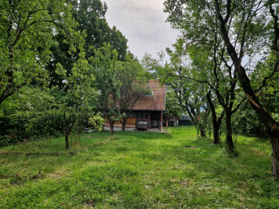 Terenuri de vanzare Tocile imagine mica 3