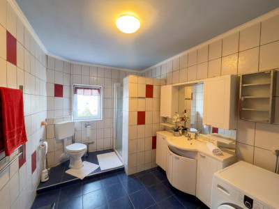 Case de vanzare Saliste imagine mica 10