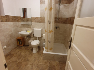 Apartamente de inchiriat Sibiu Trei Stejari imagine mica 6