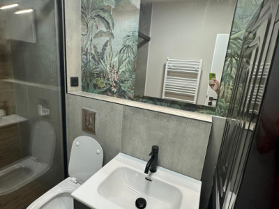 Apartamente de inchiriat Sibiu Doamna Stanca imagine mica 8