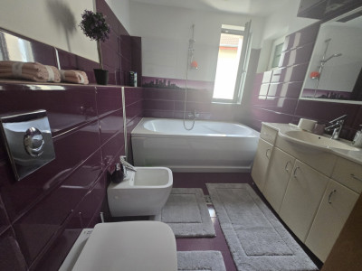 Apartamente de inchiriat Sibiu Tilisca imagine mica 6