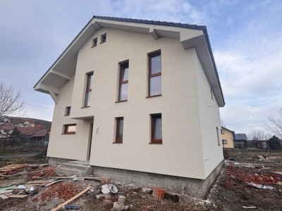 Case de vanzare Sura Mare imagine mica 4