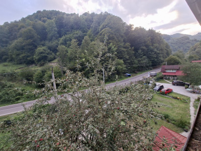 Case de vanzare Valea Macesului imagine mica 41