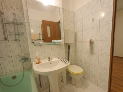 Apartamente de vanzare Sibiu Siretului imagine mica 7