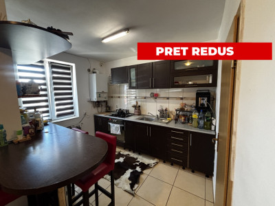 Casa tip insiruita de vanzare 210mp teren  prima afisare Sura Mica 