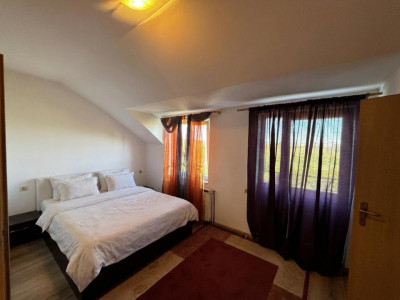 Case de vanzare Sura Mica imagine mica 5